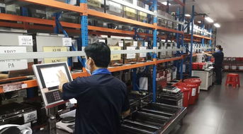 從狼性進取到羊群協同 印染廠管理手冊在酒店業中的跨行業啟示